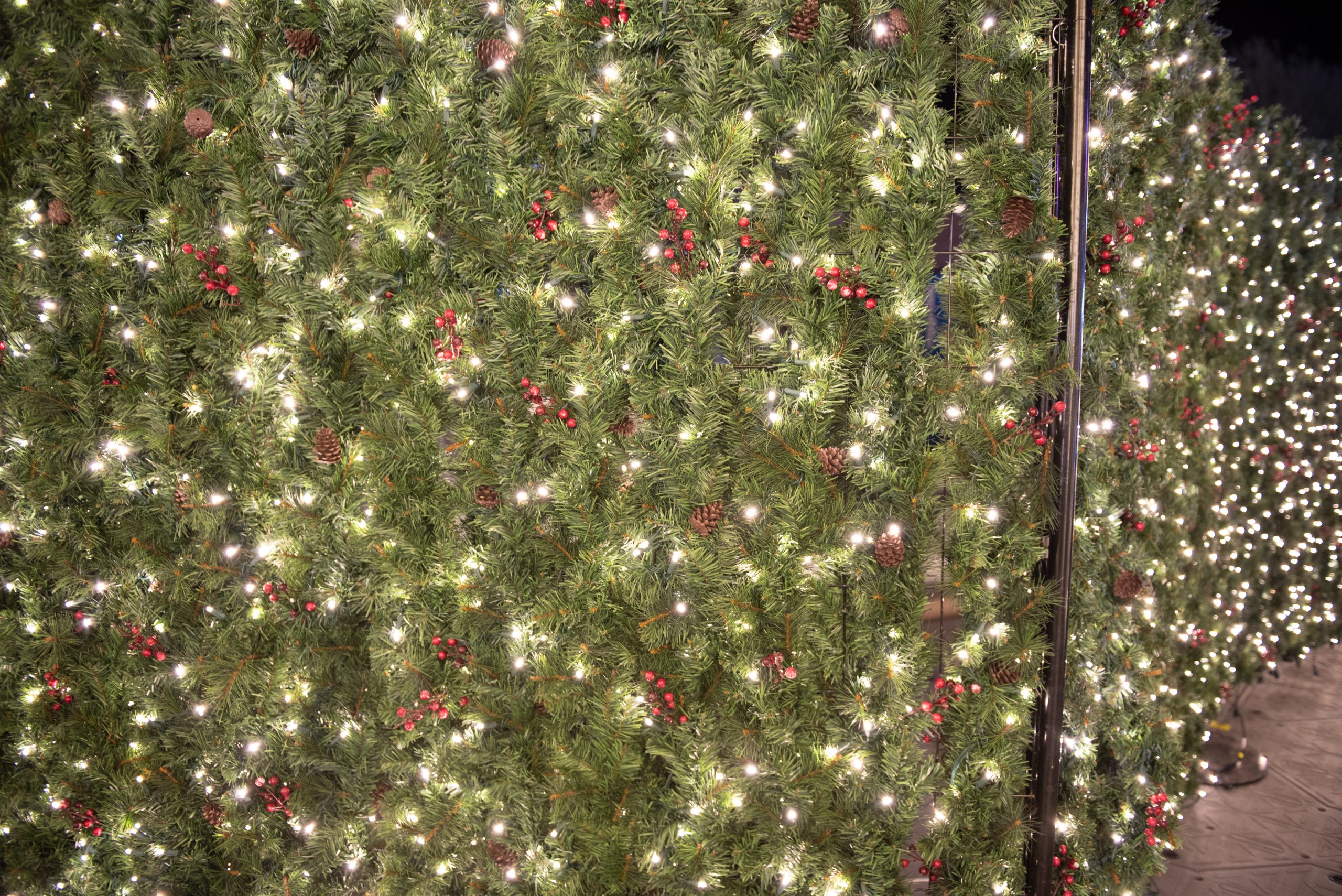 Enchant Brings Holiday Magic to Community Enchant Brings Holiday Magic to Community