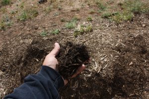 Composting Tips From SRPMIC Garden Coordinator Jacob Butler