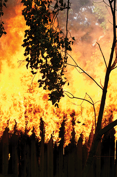 Dry Vegetation, Hot Temperatures Mean It’s Fire Season
