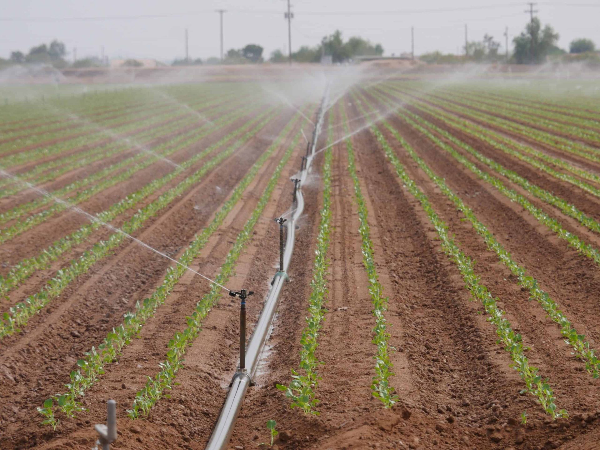 How Drought Affects the Future of Water at SRPMIC How Drought Affects the Future of Water at SRPMIC