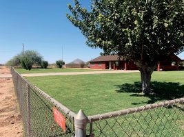 Community Business Q&A: LG Landscaping Community Business Q&A: LG Landscaping