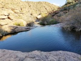 Bureau of Land Management Reviews Resolution Copper Study at Oak Flat