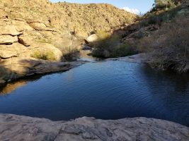 Bureau of Land Management Reviews Resolution Copper Study at Oak Flat