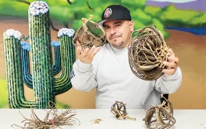 Community Garden Coordinator Shares Knowledge of Devil’s Claw with Native Health Phoenix