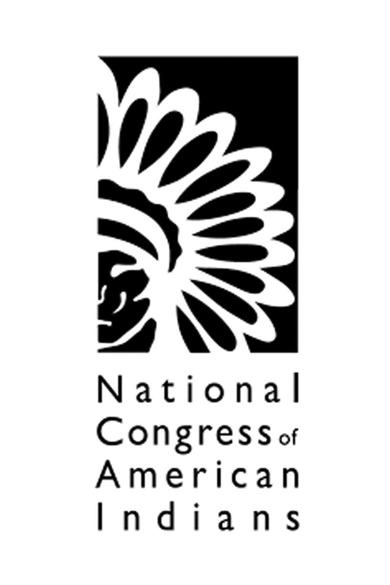 NCAI Virtual Convention Connect Tribal Leader to Discuss Native Topic and Issues