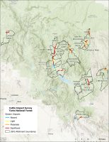 Lawsuit Filed Over Cows Grazing on National Forest Land