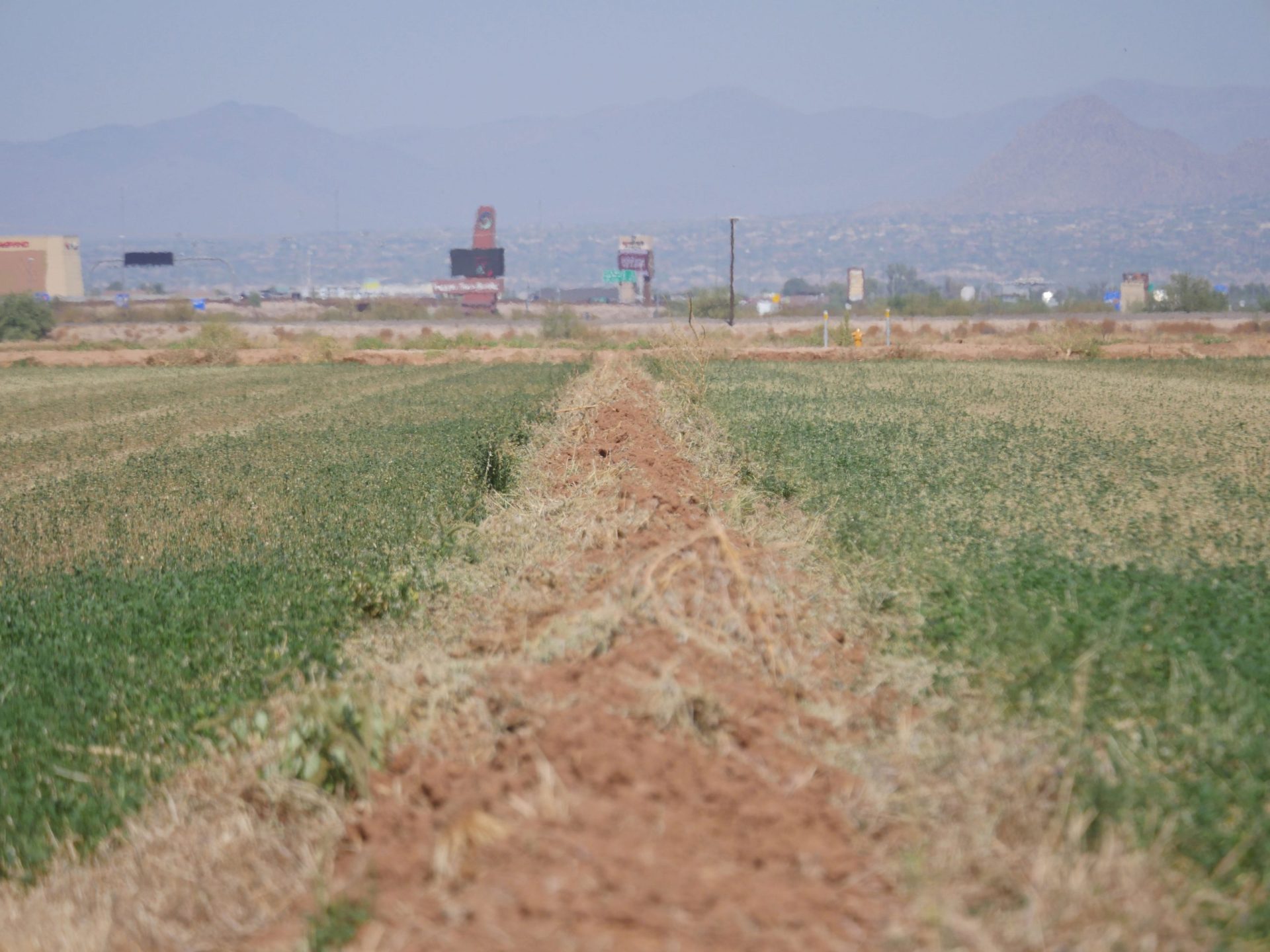 Interior Department Announces Reduction of Arizona’s Water Allotment Interior Department Announces Reduction of Arizona’s Water Allotment