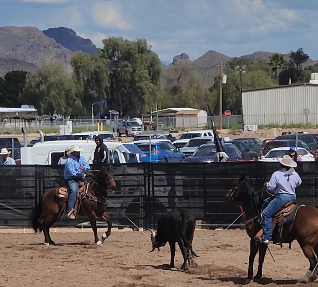 Trevor Waters Talks Roping Steer and Life at the Rodeo