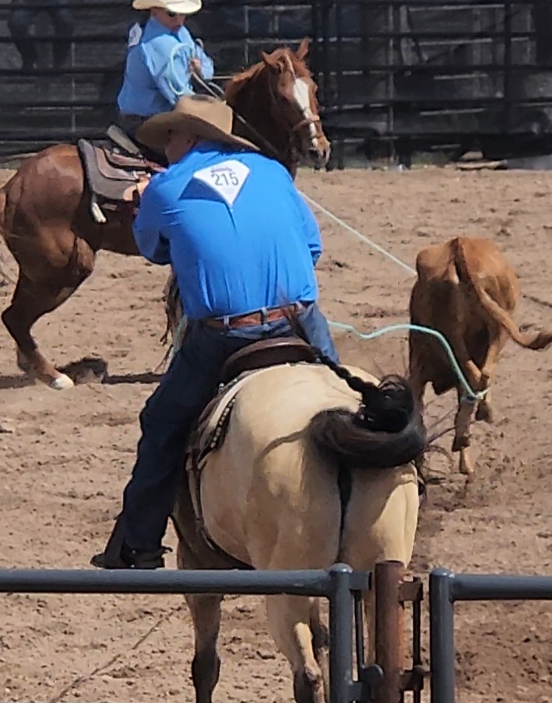 Trevor Waters Talks Roping Steer and Life at the Rodeo