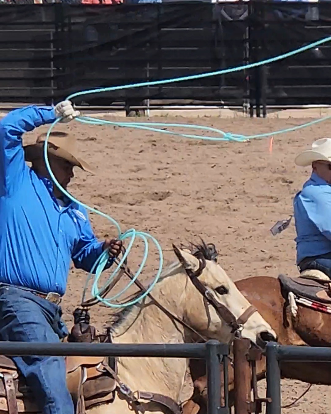 Trevor Waters Talks Roping Steer and Life at the Rodeo