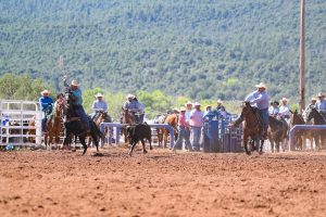 Trevor Waters Talks Roping Steer and Life at the Rodeo