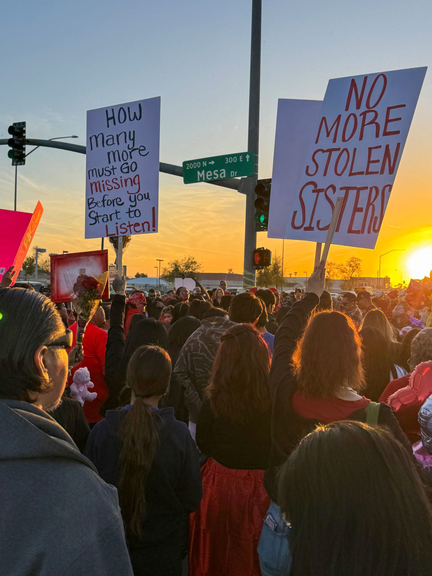 Calls for Action at Vigils Honoring Emily Pike