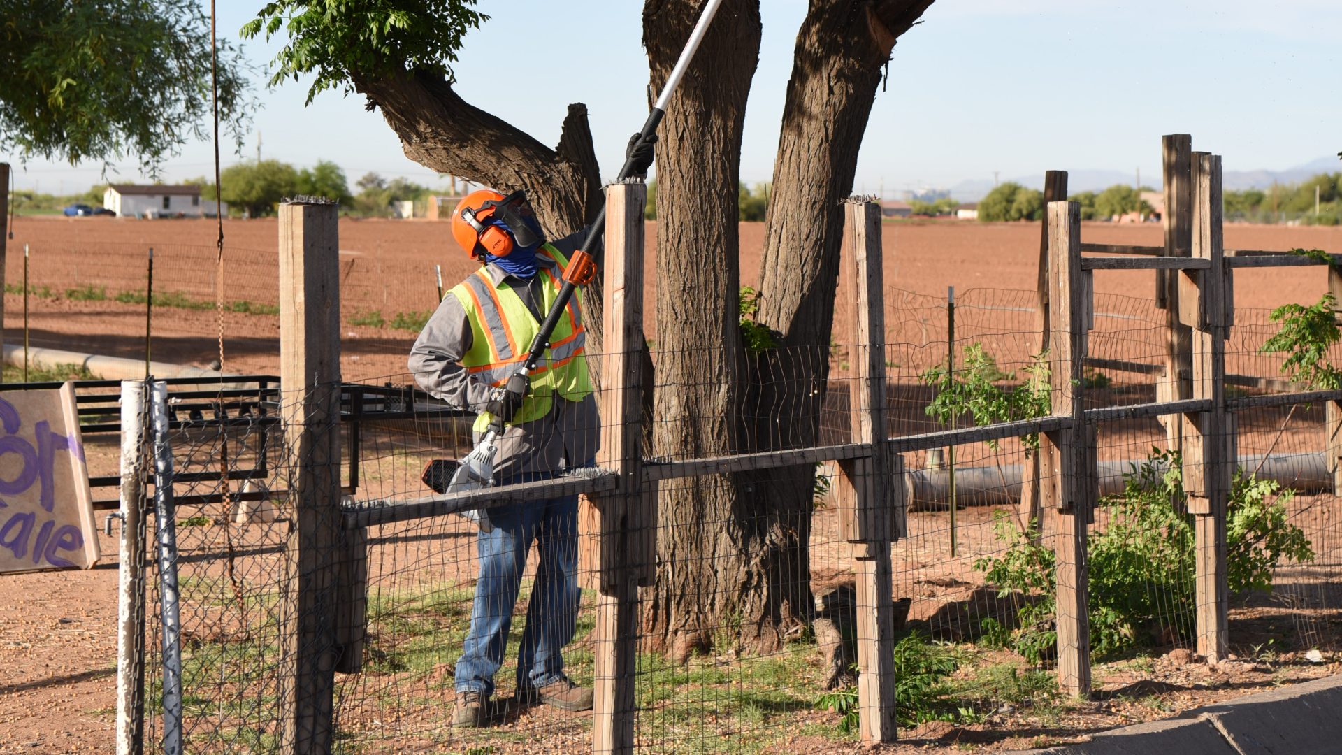 Jason Largo Becomes Certified Arborist 