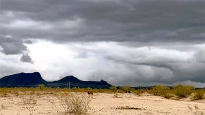 Arizona’s Monsoon Outlook Shows Potential to Bring in Above Normal Precipitation