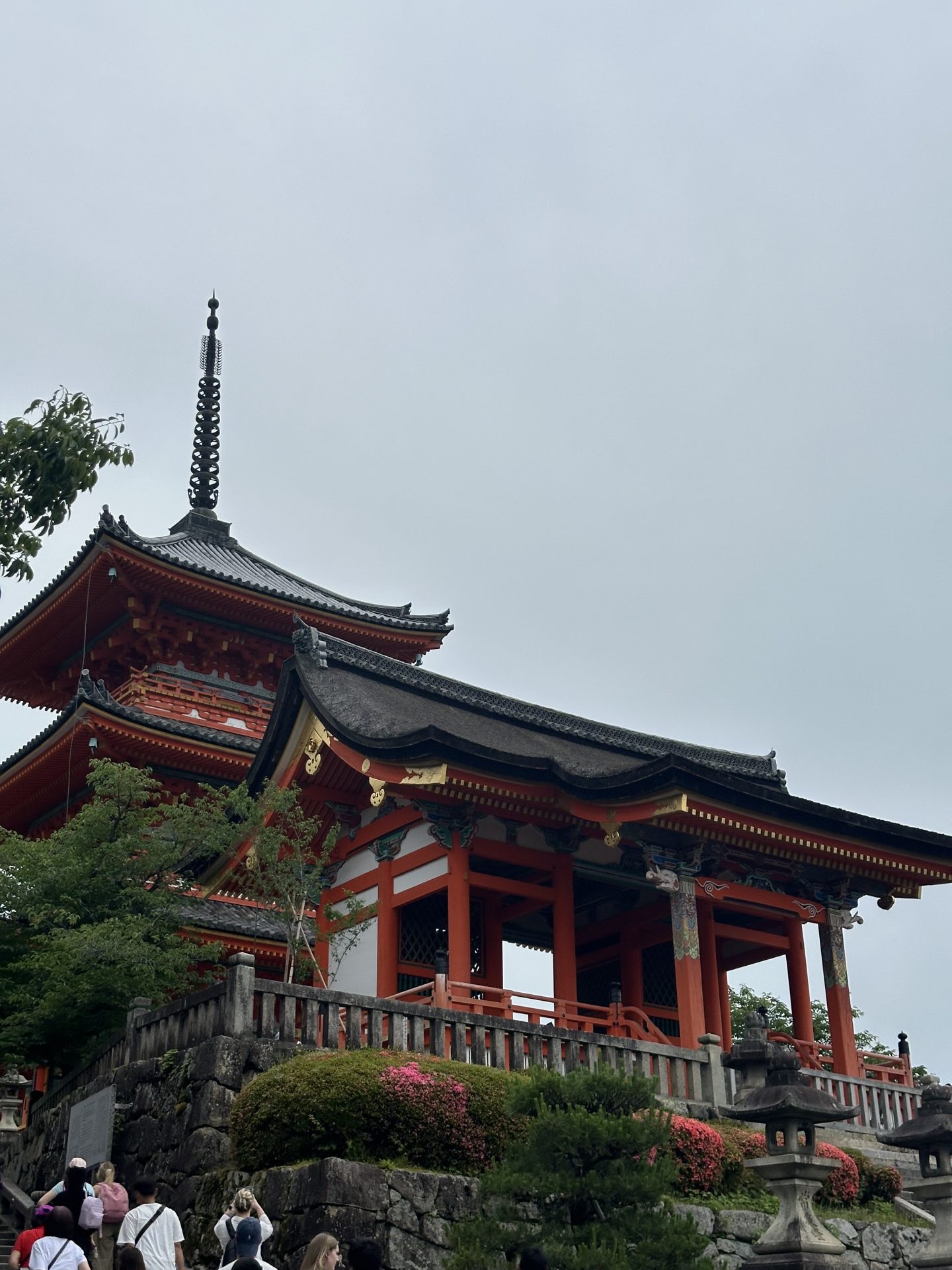 Cruz Lasiloo and Tizoc Lopez Travel to Japan