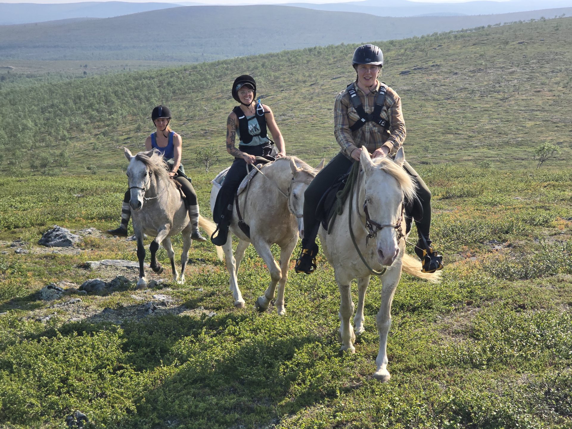 Wilderness in Lapland, Finland Home to SRPMIC Mustangs Nube and Akimel Wilderness in Lapland, Finland Home to SRPMIC Mustangs Nube and Akimel