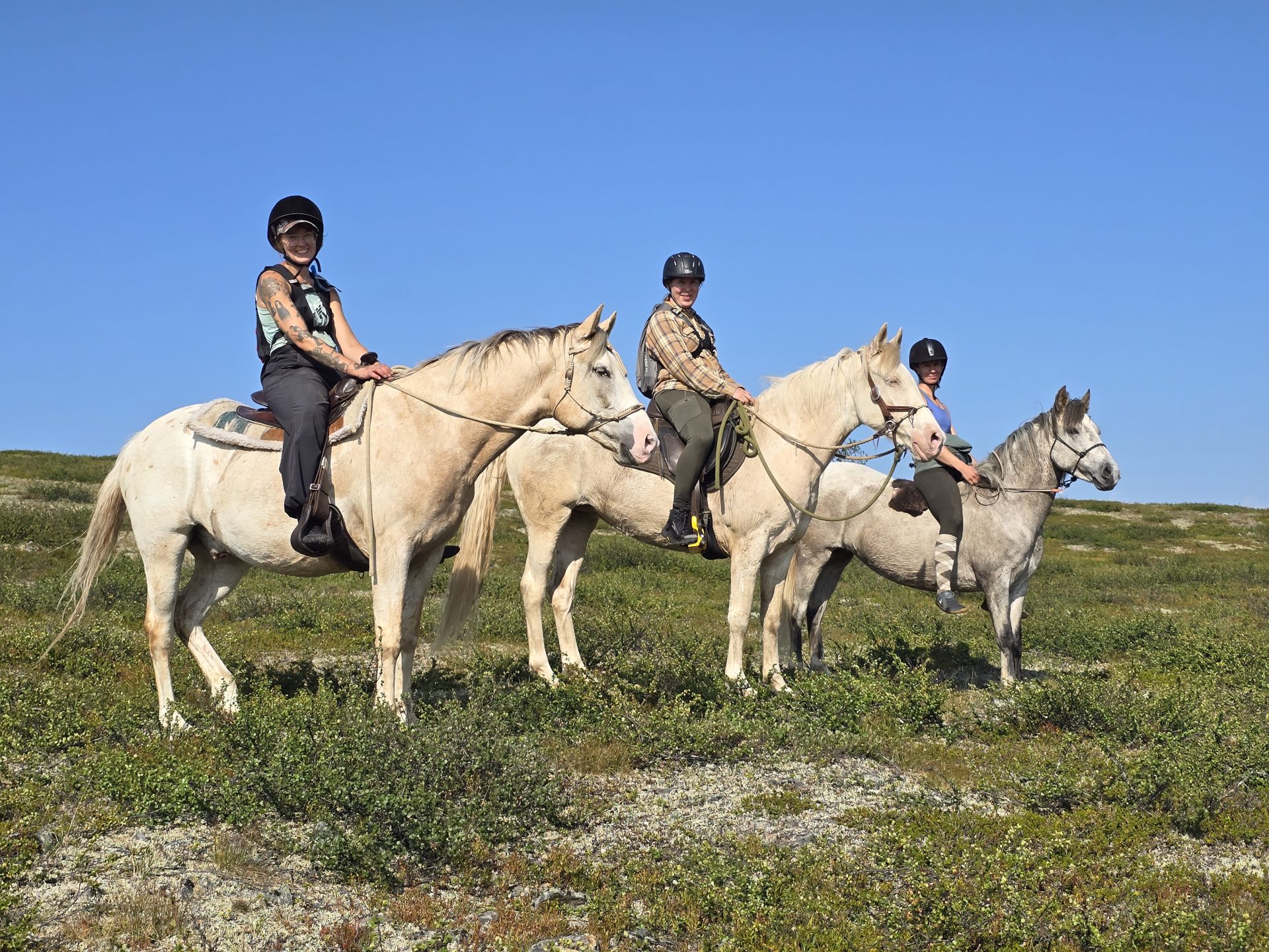 Wilderness in Lapland, Finland Home to SRPMIC Mustangs Nube and Akimel Wilderness in Lapland, Finland Home to SRPMIC Mustangs Nube and Akimel