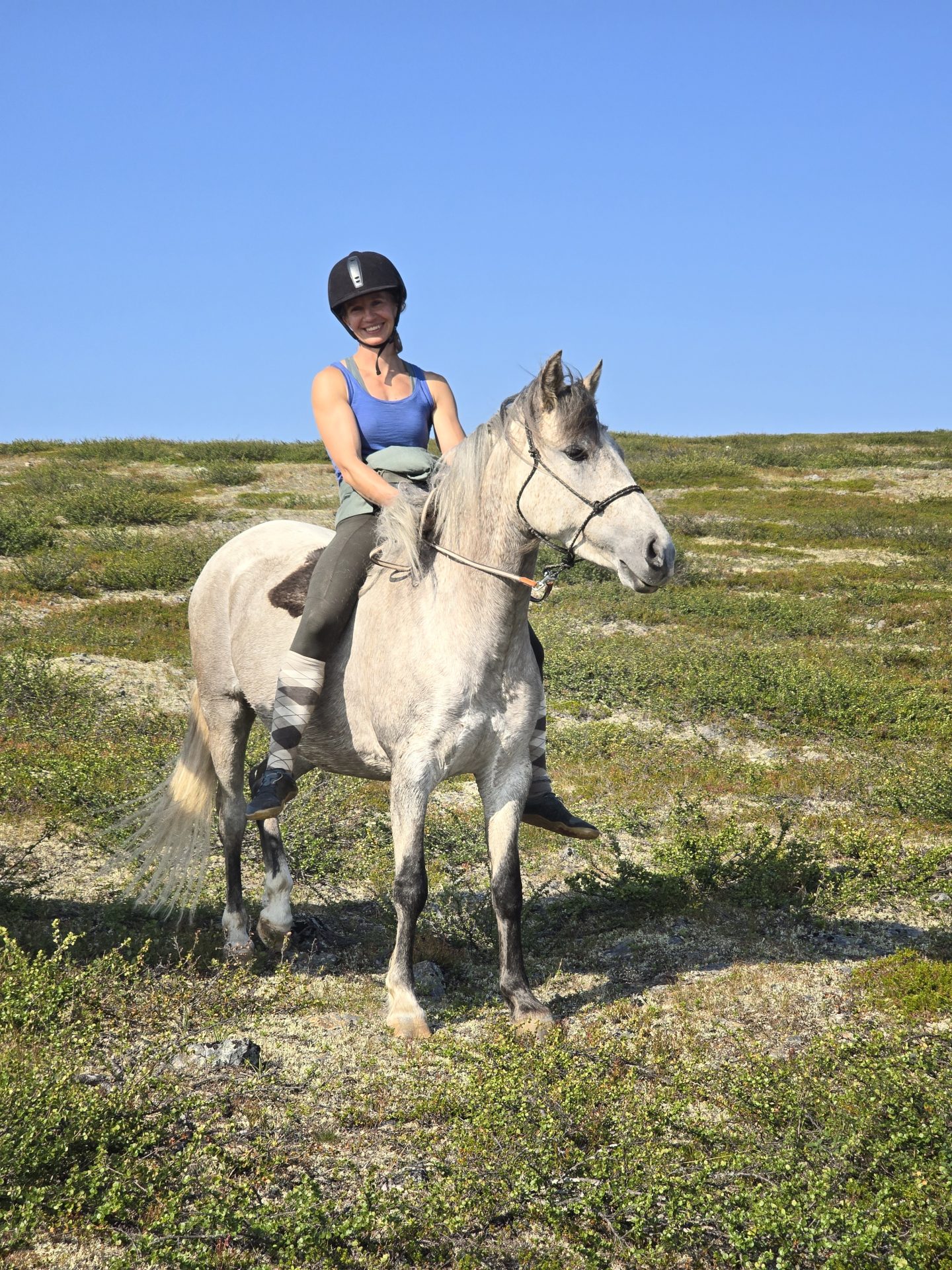 Wilderness in Lapland, Finland Home to SRPMIC Mustangs Nube and Akimel Wilderness in Lapland, Finland Home to SRPMIC Mustangs Nube and Akimel