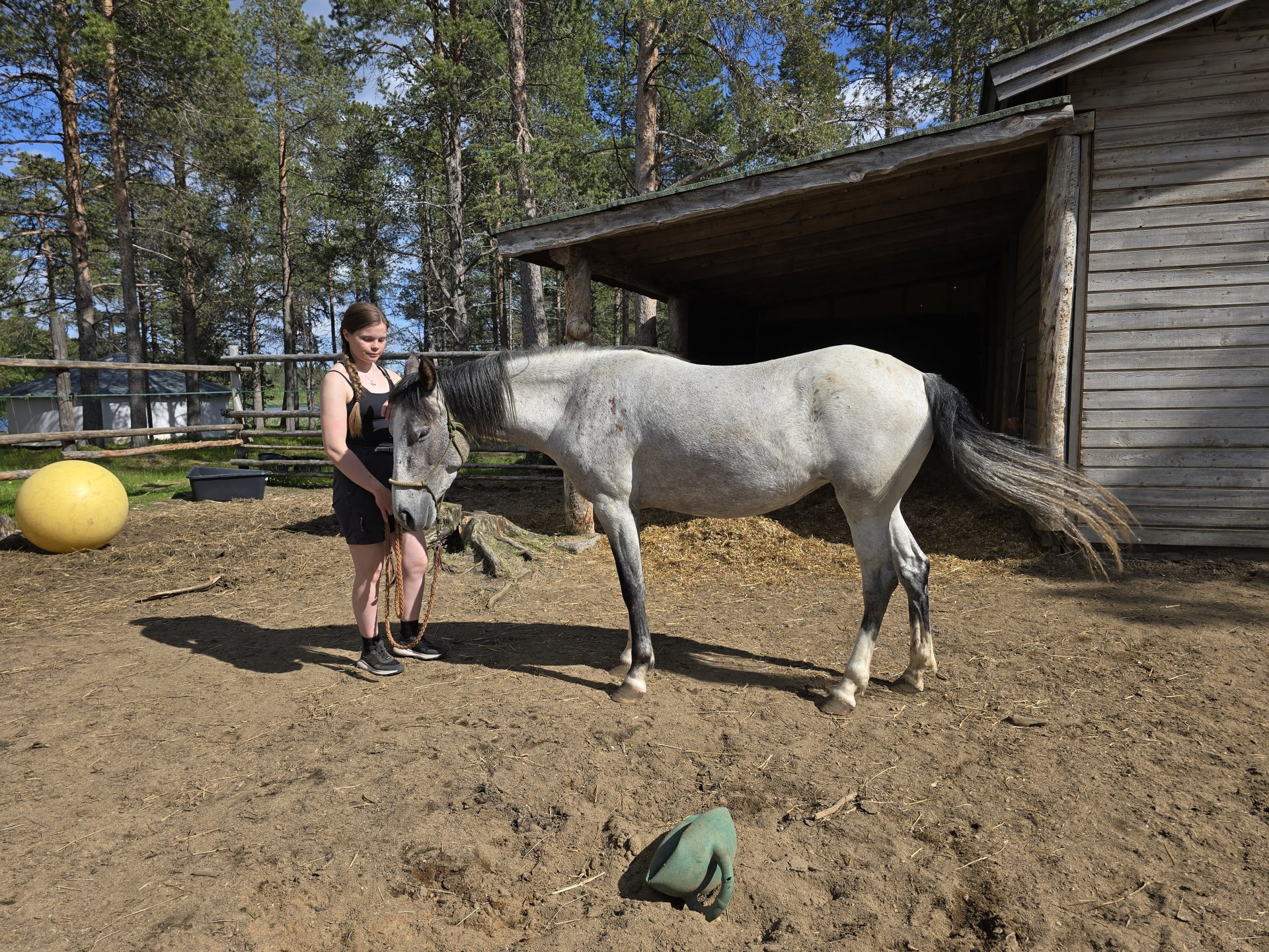 Wilderness in Lapland, Finland Home to SRPMIC Mustangs Nube and Akimel Wilderness in Lapland, Finland Home to SRPMIC Mustangs Nube and Akimel
