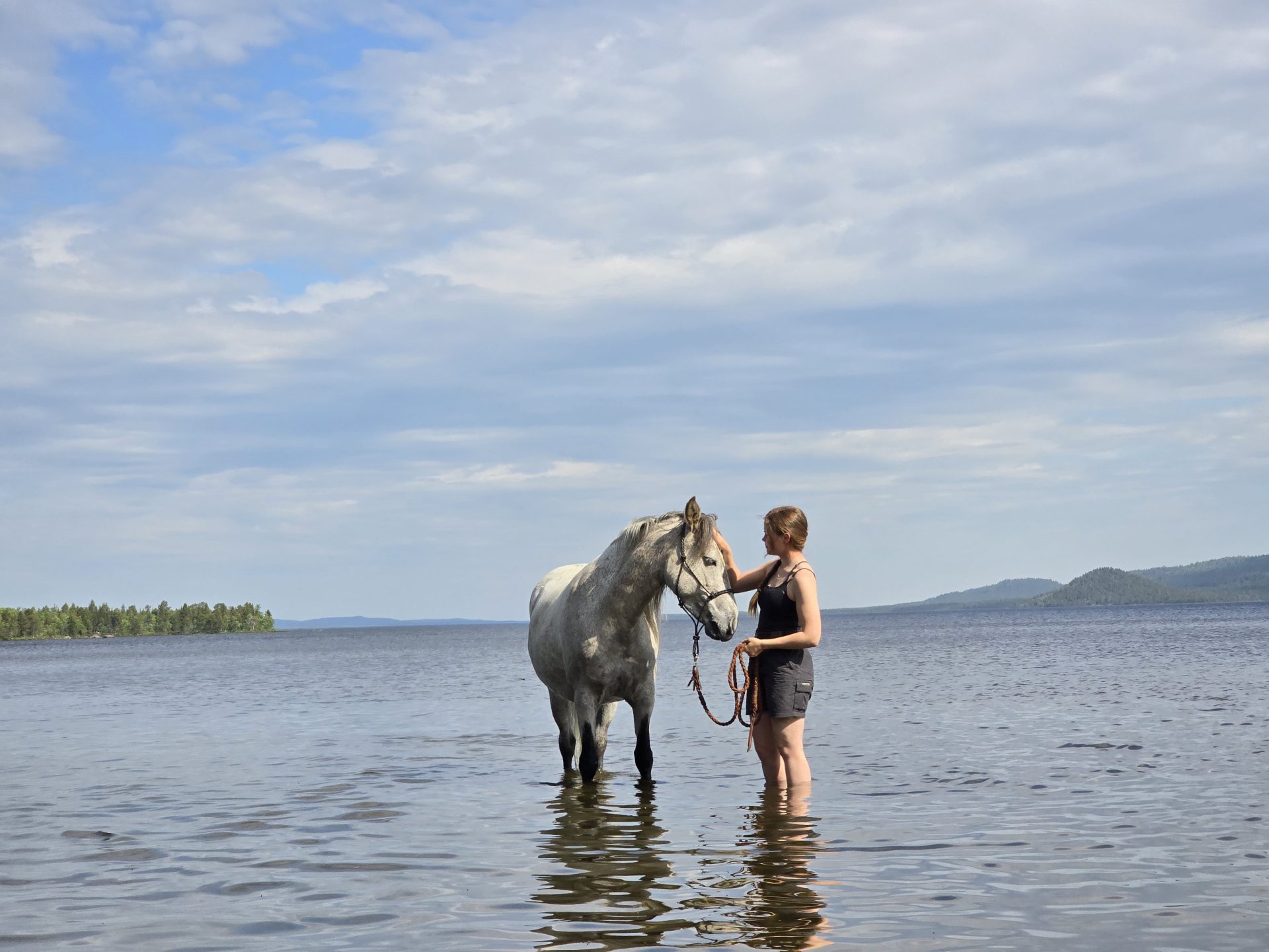 Wilderness in Lapland, Finland Home to SRPMIC Mustangs Nube and Akimel Wilderness in Lapland, Finland Home to SRPMIC Mustangs Nube and Akimel