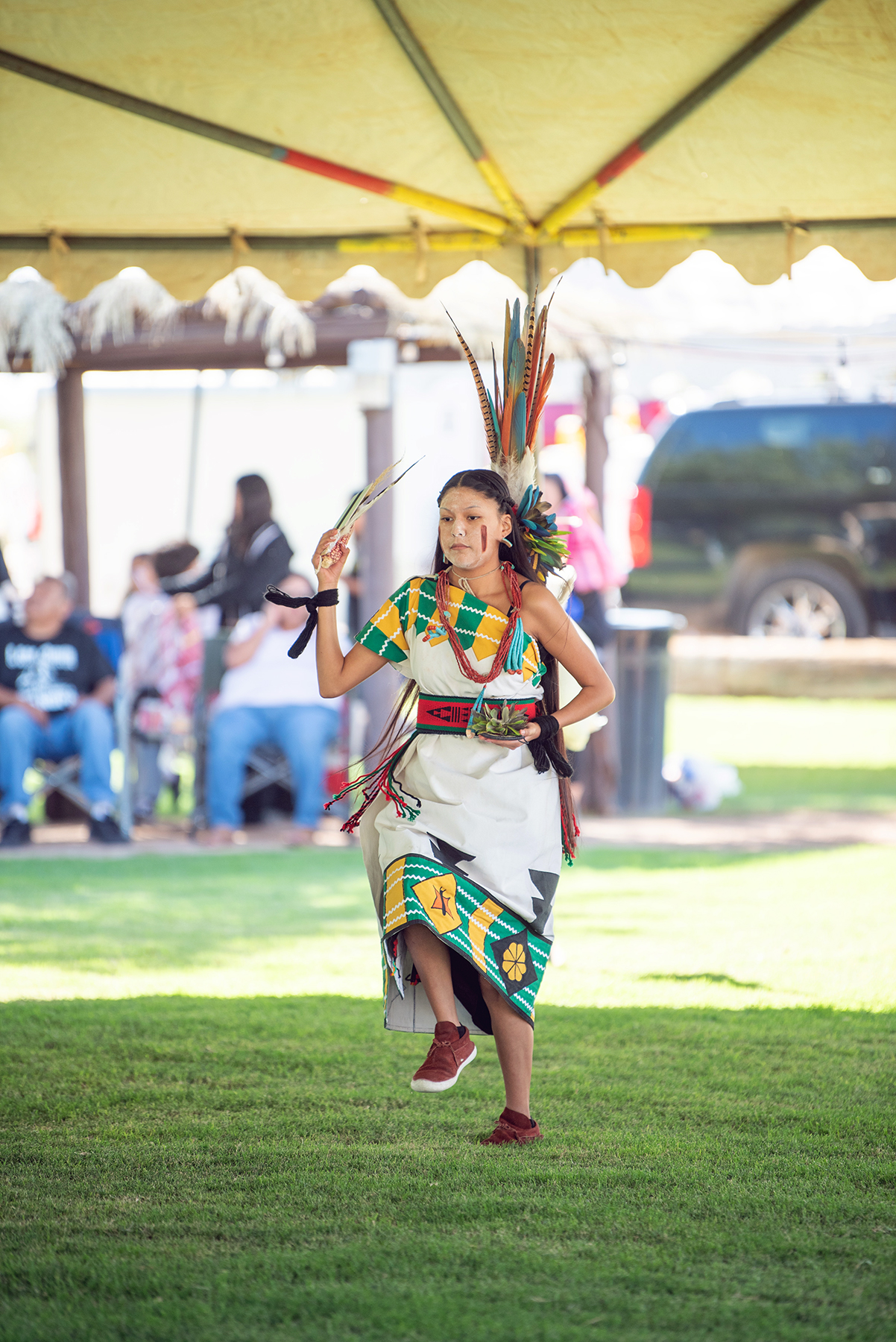 Fall Piipaash Matasheevm Fall Piipaash Matasheevm