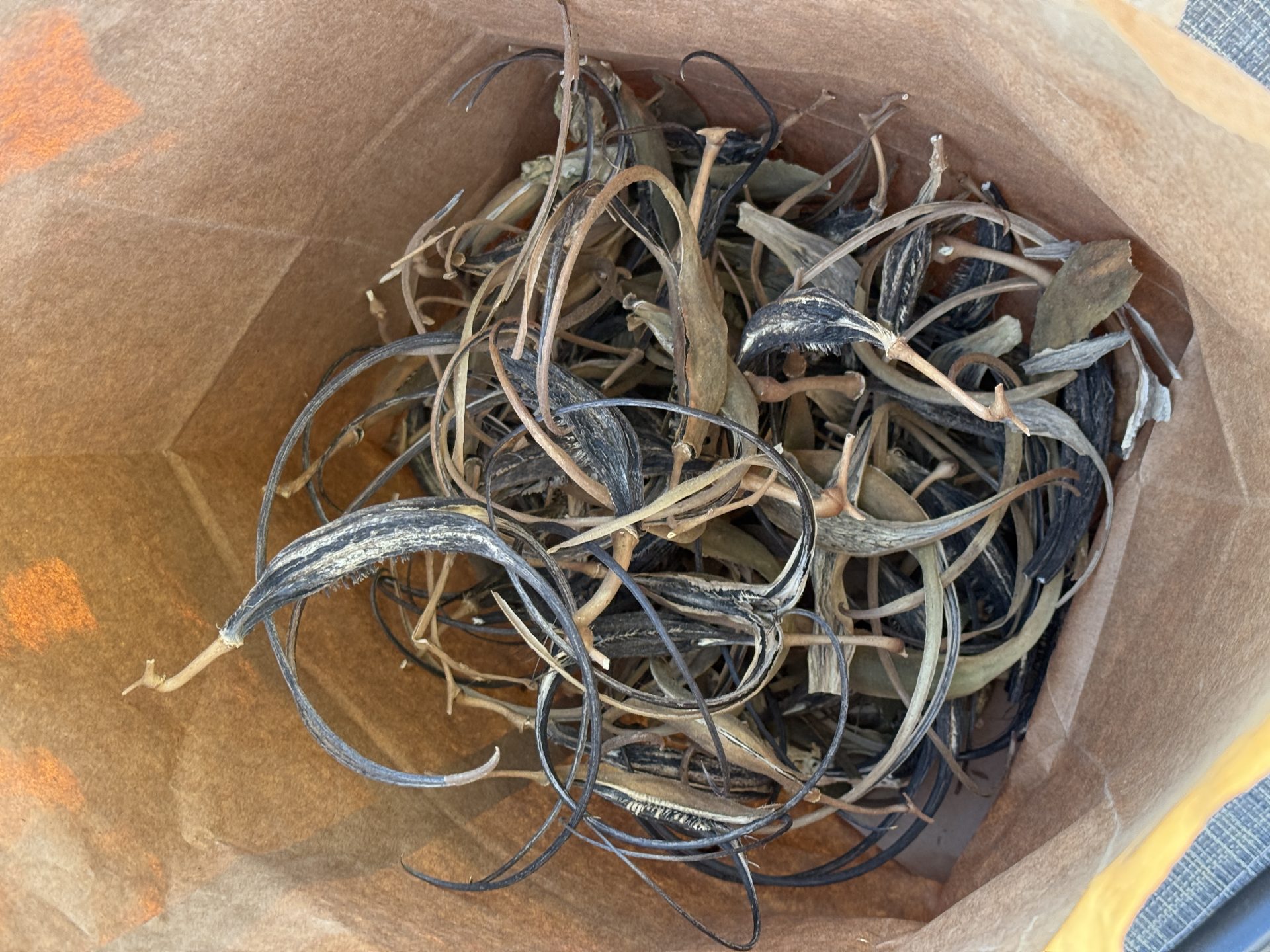 Community Garden Awarded Recycling Grant, and Other Updates