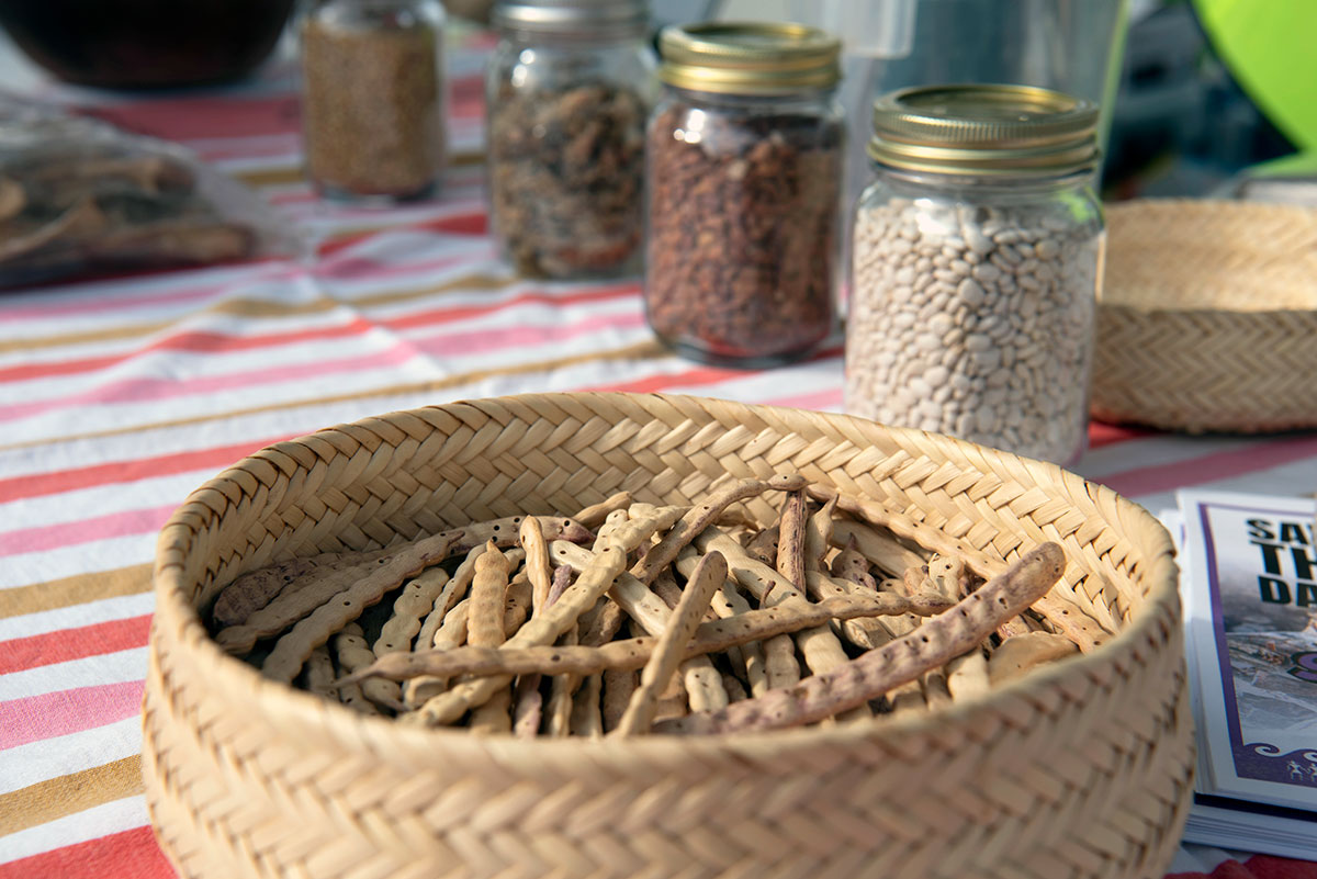 O’odham Piipaash Culture Celebrated O’odham Piipaash Culture Celebrated