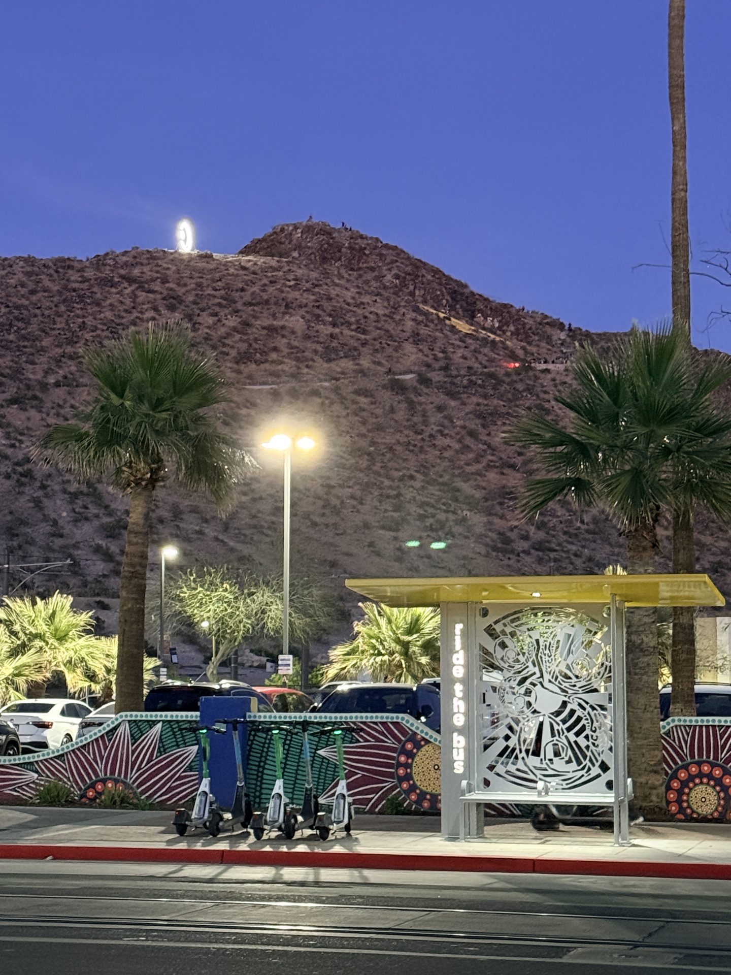 Hekiu Artists Continuum Members Collaborate with Tempe on Bus Shelters