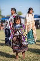 20 Years of Tradition and Community at the Annual Westwood Powwow