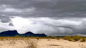 What Is the ‘Super’ El Niño? What Is the ‘Super’ El Niño?