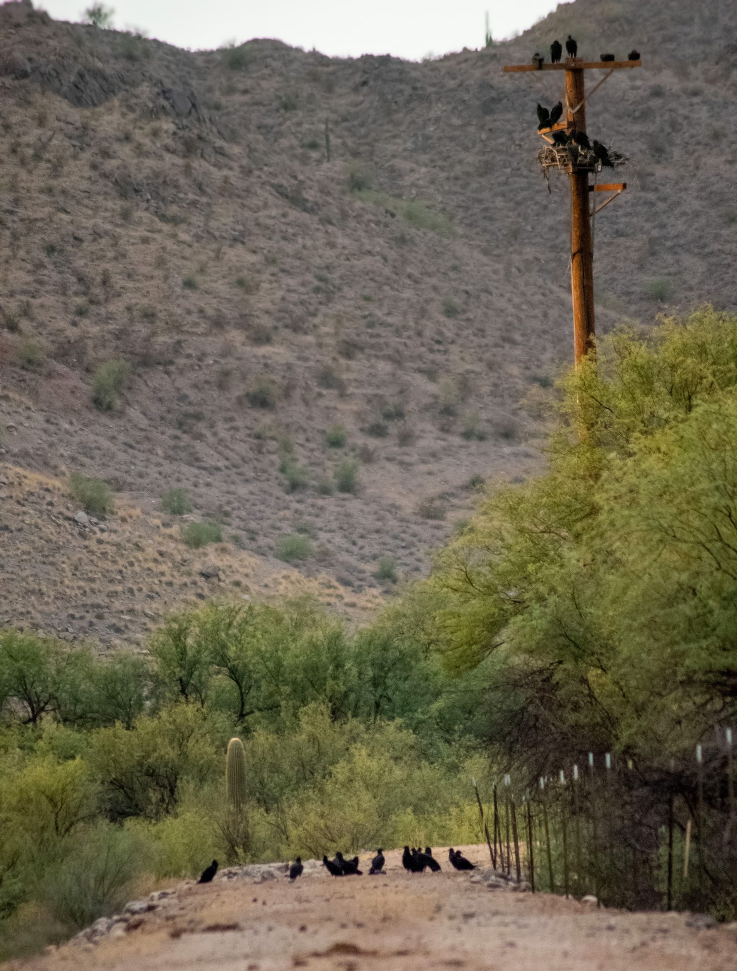 Birding is More than a Hobby for EPNR Birding is More than a Hobby for EPNR