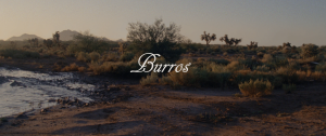 Short Film Released Online Features O’odham Actors and Culture